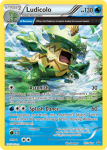XY Primal Clash card 37