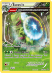 XY Primal Clash card 9