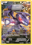XY Promos Set card XY119
