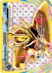 XY Promos Set card XY134