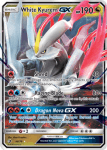 Sun and Moon Dragon Majesty card 48