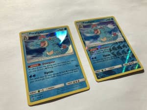 Feraligatr Holo and Reverse Holo Dragon Majesty 24/70
