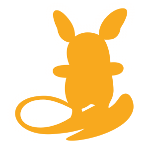 Pokemon Sun and Moon Trainer Kit Alolan Raichu set symbol