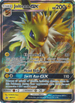 Sun and Moon Promo card SM173