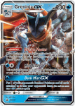 Sun and Moon Promo card SM197