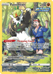 Pokemon Silver Tempest Trainer Gallery card TG08/TG30