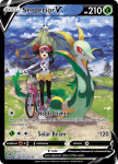 Pokemon Silver Tempest Trainer Gallery card TG13/TG30