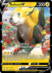 Pokemon Sword & Shield Promo card SWSH219