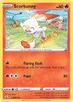 Pokemon Sword & Shield Promo card SWSH244