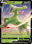 Pokemon Sword & Shield Promo card SWSH295